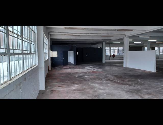 1,000M² WAREHOUSE TO LET IN NEW GERMANY